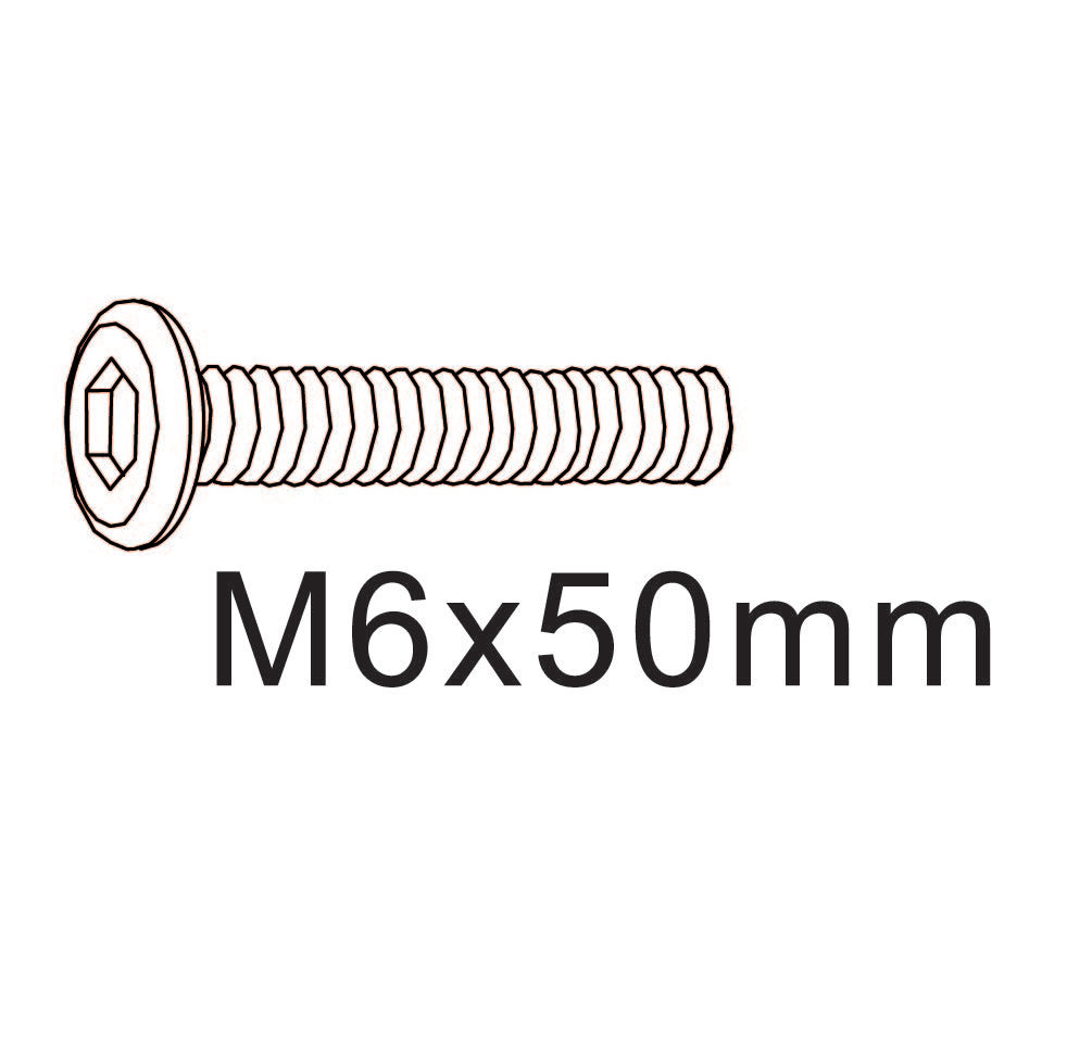 Vis M6x50mm