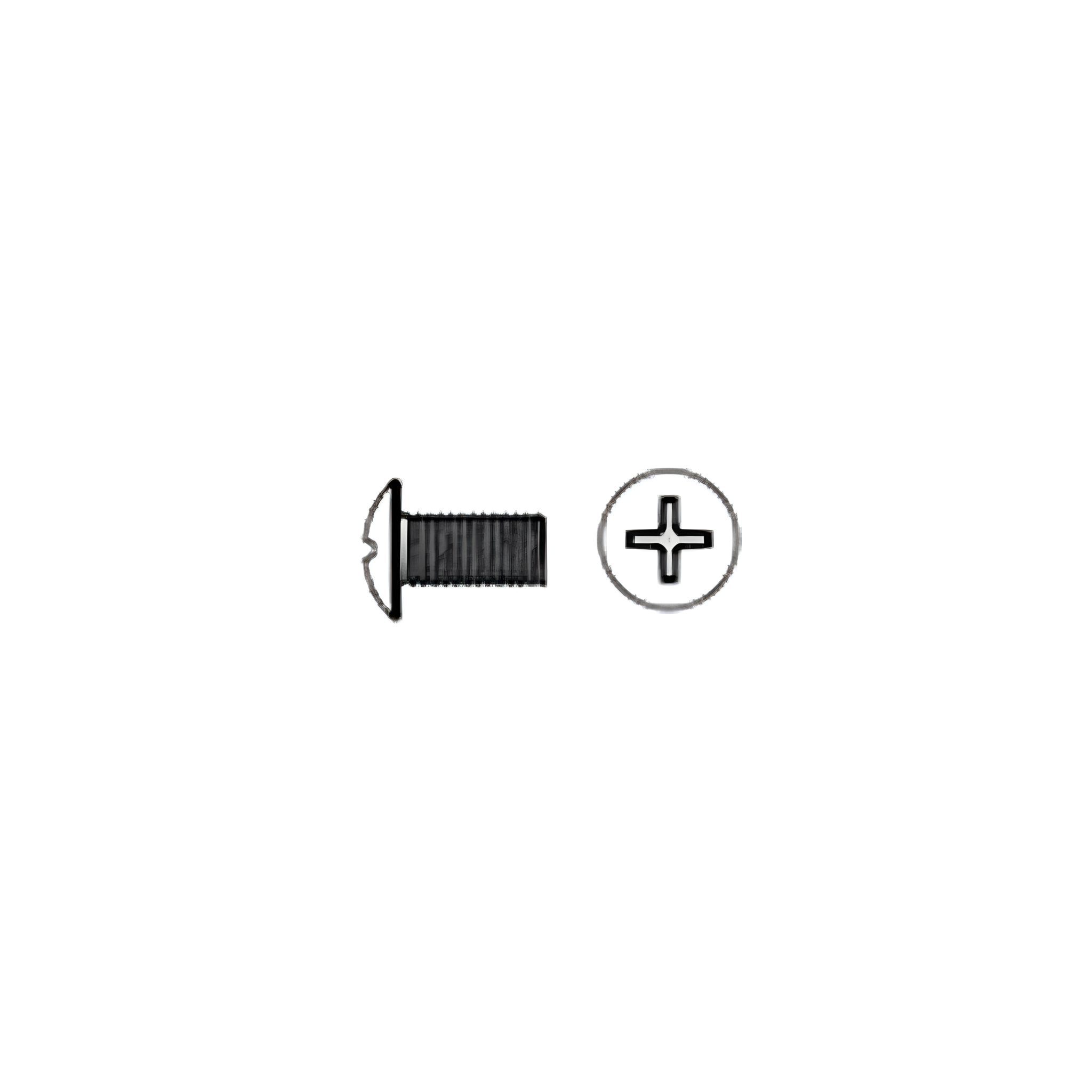M6 12mm Screw