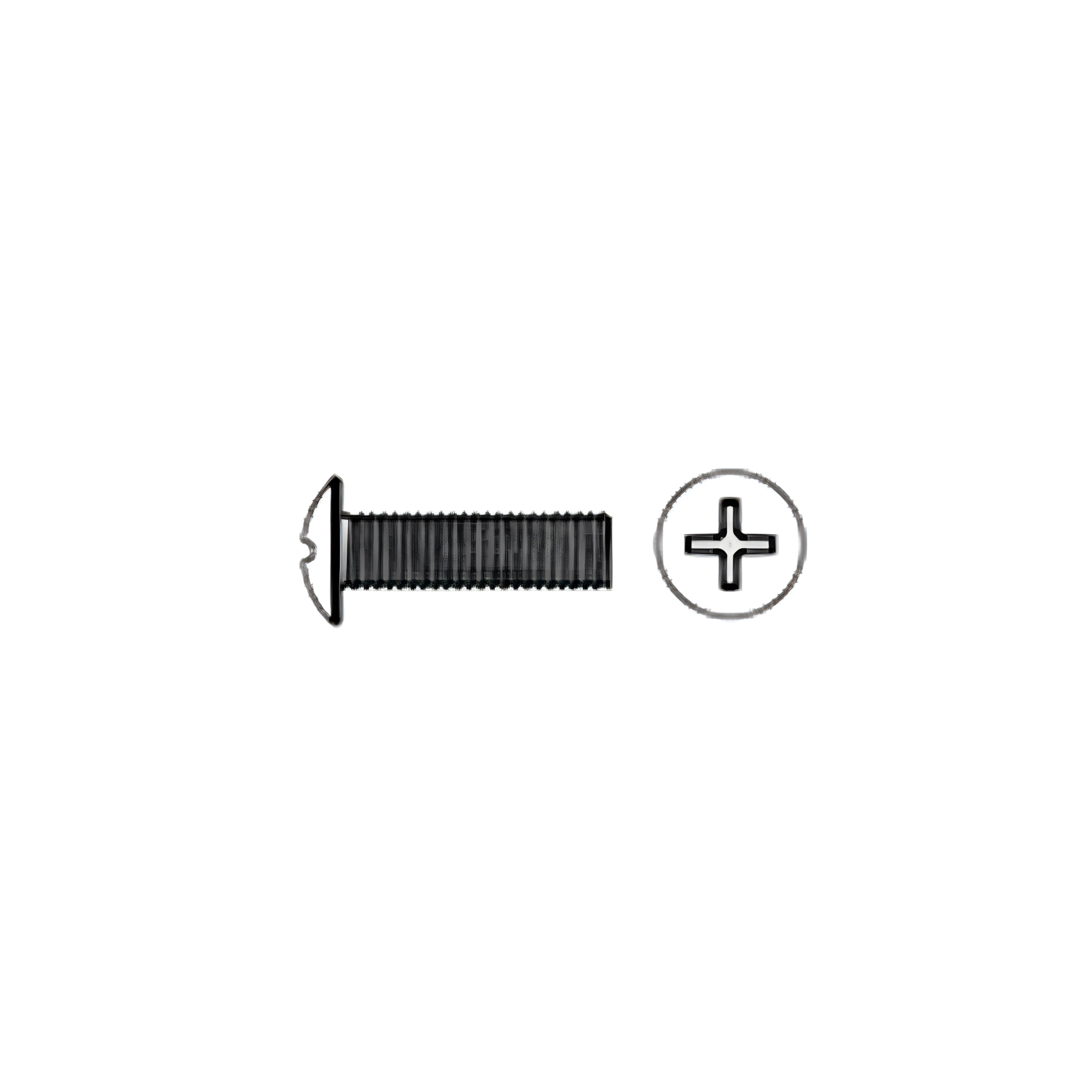 M6 20mm Screw